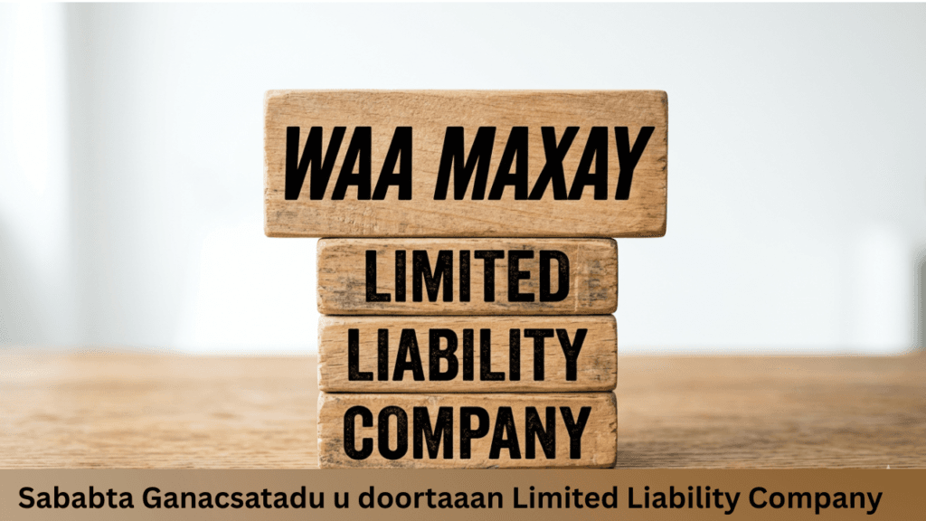Waa maxay Limited liability Company