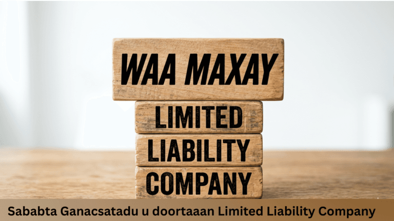 Waa maxay Limited Company
