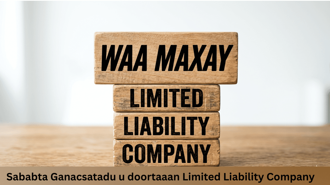 Waa maxay Limited Company