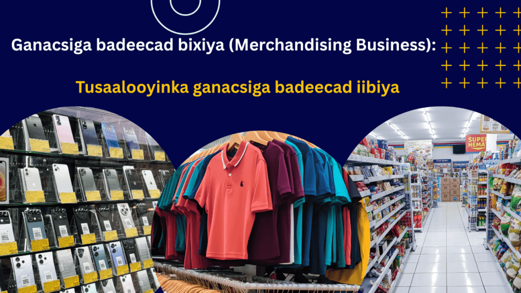 Noocyada Ganacsiga iyo Faa’iidooyinka Ay Bulshada U Leeyihiin 1 Ganacsiga badeecad bixiyaha ah (Merchandising Business) waa ganacsi ku dhisan iibinta alaabo ama badeecado la taaban karo (tangible goods) kuwaas oo diyaarsan oo horey loo soo saaray, Si ka duwan shirkadaha wax soo saar ka, ganacsigan ma soosaaro alaab cusub, balse wuxuu alaab ka soo iibsadaa warshadaha wax soo saara ama ganacsatada jumlo wax ku iibiya (wholesalers), ka dibna alaabtii ayuu dib oga sii iibiyaa macaamiisha si tafaariiq ah ((retail).