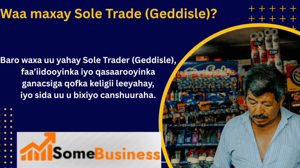 Bilaabista Ganacsiga Qaabkee Kugu Haboon Sole Trader ama Partnership? which one best 1 waa maxay sole trader
