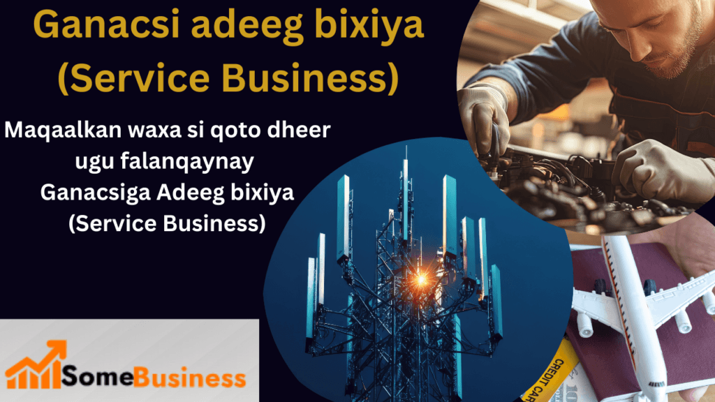 service Business Ganacsiga adeegga bixiya waa nooc ganacsi oo diirada saara bixinta adeegyo halkii uu ka bixin lahaa badeecooyin la taaban karo. Adeegyada uu ganacsigan bixiyo waa wax aan la taaban karin (intangible), taas oo macnaheedu yahay in macmiilka aan la siindoonin wax la arki karo ama la taaban karo. Adeegu waxa uu u fududeeyaa ujeedada macmiilka iyo inuu gaaro yoolkiisa.