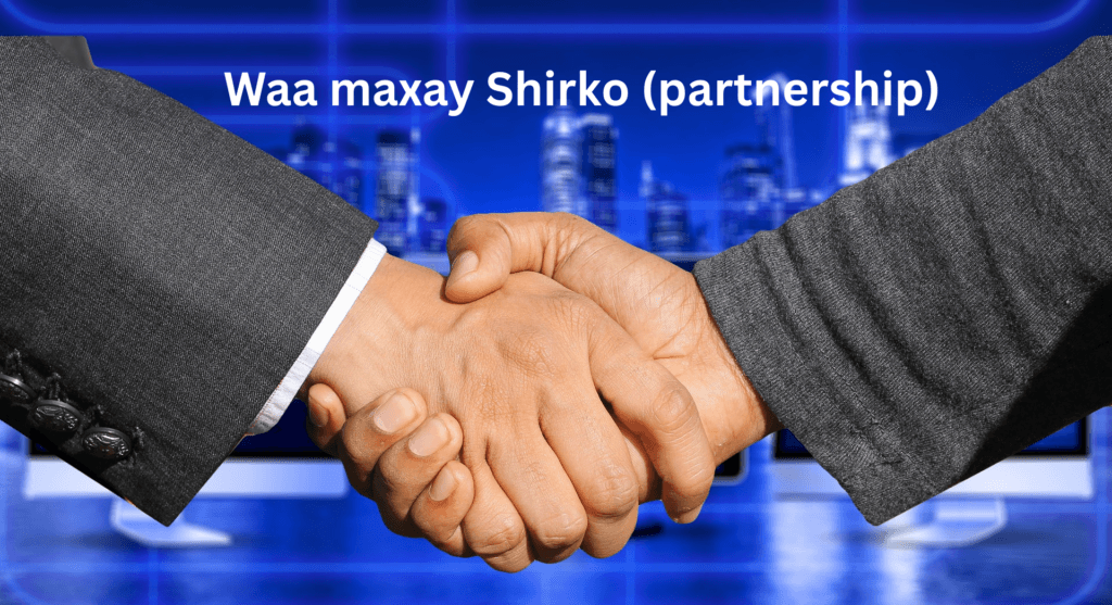 Bilaabista Ganacsiga Qaabkee Kugu Haboon Sole Trader ama Partnership? which one best 2 waa maxay Partnership